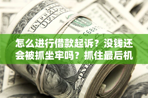 北京怎么进行借款起诉？没钱还会被抓坐牢吗？抓住最后机会！