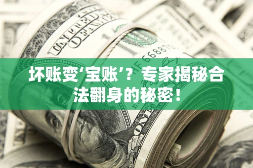 北京坏账变‘宝账’？专家揭秘合法翻身的秘密！