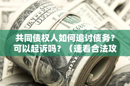 北京共同债权人如何追讨债务？可以起诉吗？（速看合法攻略）
