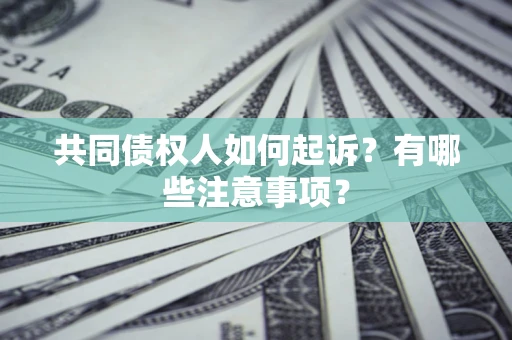 北京共同债权人如何起诉？有哪些注意事项？